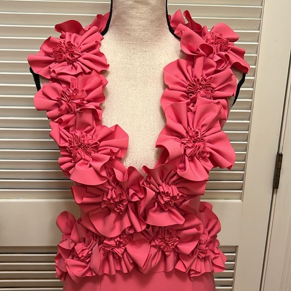 Antonio Melani Breast Cancer Awareness Capsule Mary-Cathryn Crepe Dress, Size 2 - Picture 5 of 17